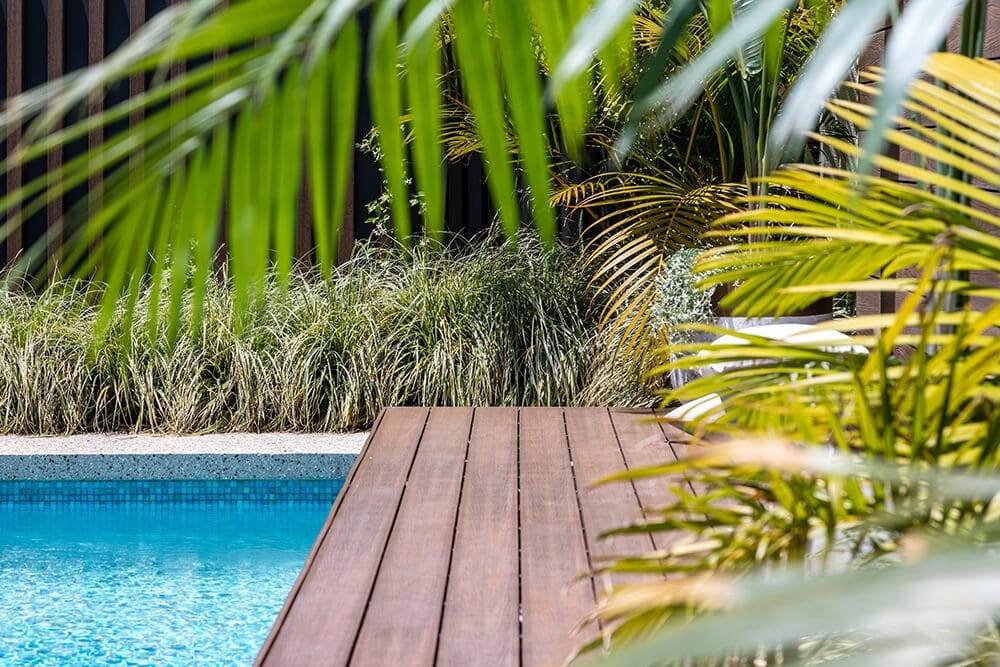 Tropical pool landscaping at a Perth home
