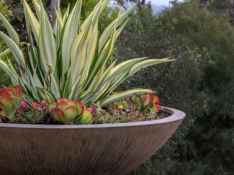 Kalamunda Mulit-Level Revell Landscaping Project 2018