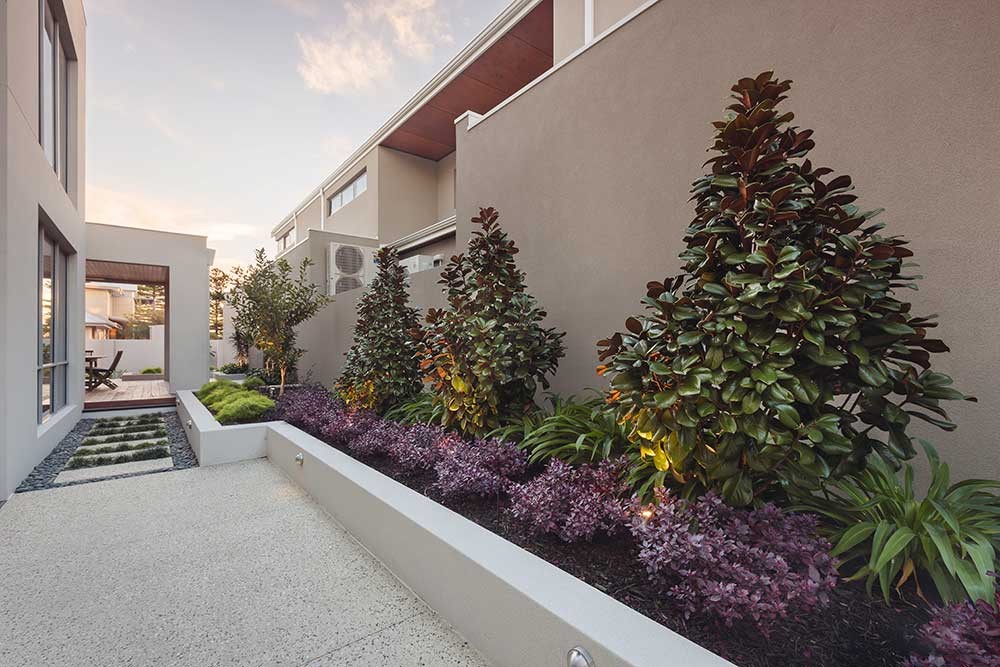 South Fremantle ContemporaryLandscaping